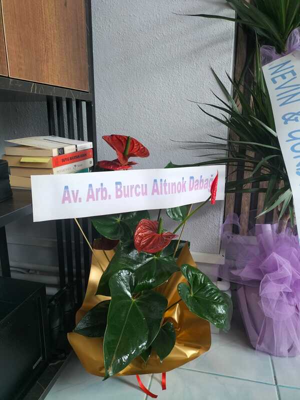 Kurs ve kurum fotoğraf 15